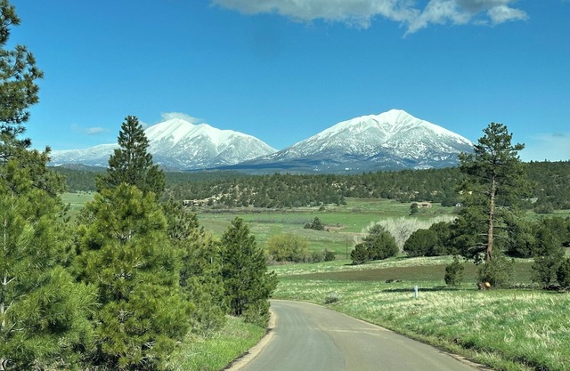 CJs Ranch RV and Tent sites, with Log Cabin