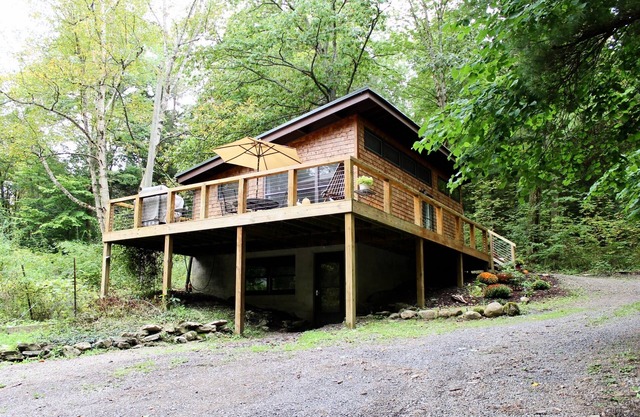 Clean, modern cabin surrounded by nature