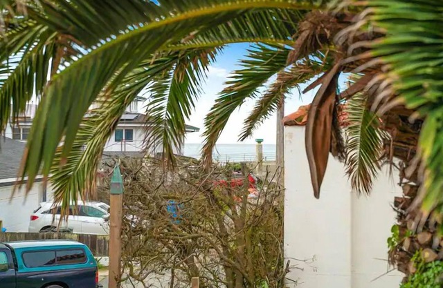 Coastal Palm Tree 2BR Retreat Ocean View