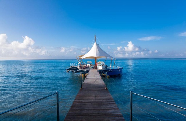 Coco De Mer Hotel Parrot 