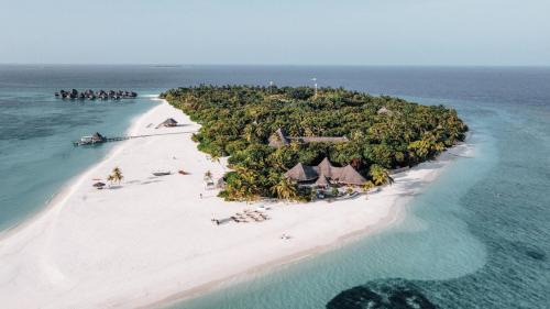 Coco Palm Dhuni Kolhu