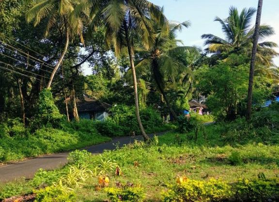 Coconut Grove Residences