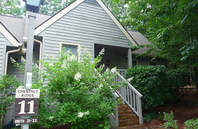 Come Snuggle in the Tree Frog & Enjoy Great Sapphire Valley Resort Amenities!