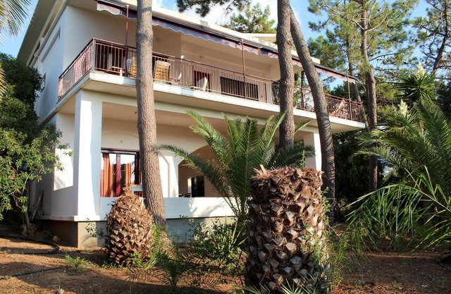 Comfortable apartment, close to the beautiful beach, wifi | Messenia, Peloponnes