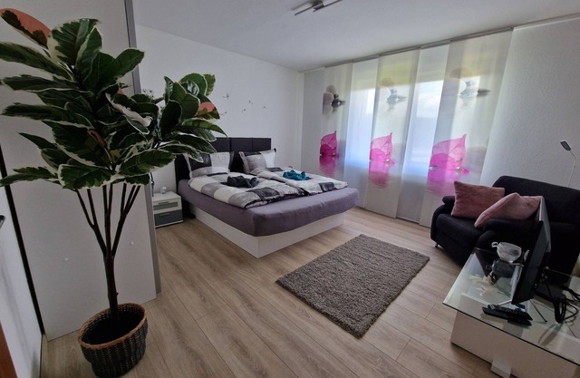 Comfortable holiday apartment Starennest with direct view of the Harz Mountains