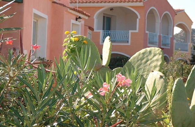 Comfortable studio with sea view and balcony or terrace