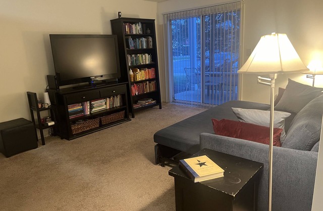 Comfy Apartment for Eclipse Totality! Walk to Town Center, near Conner Prairie