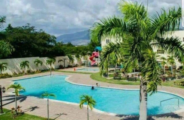 Paradise 
