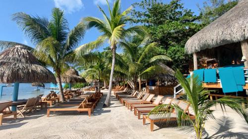 Coral Views Resort - Villa uMaMi