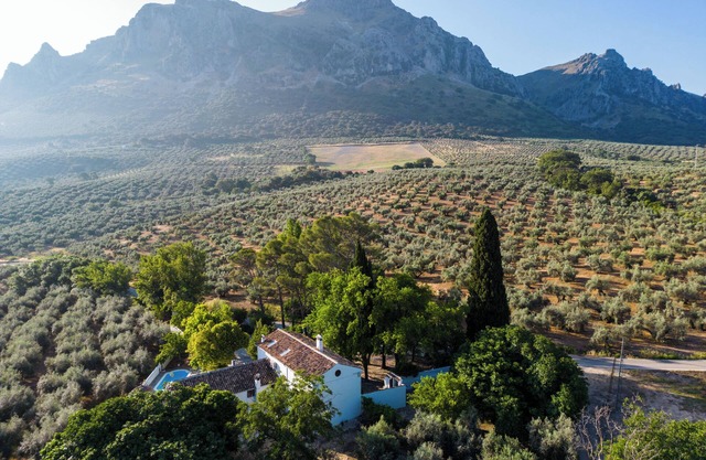 Cortijo Abril, the ideal place for large groups, weddings, parties or events.