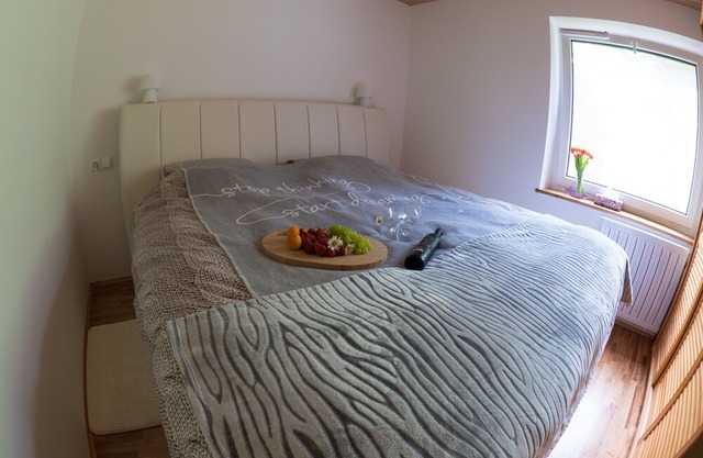COSY APARTMENT PR POTOKAR