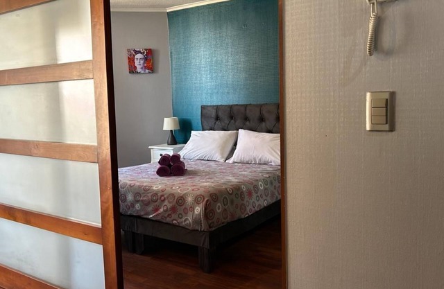 Cosy, bright apartmentin Bellas Artes/Lastarria.