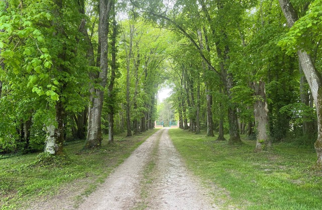 Cottage Dans un Bain de Verdure Avec Arbres Magestieux .idéal Pour les Familles