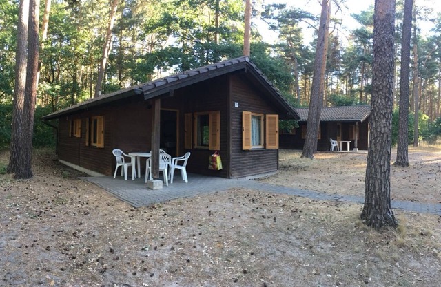 Cottage in the middle of the forest