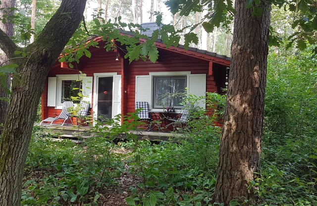 Cottage in the woods near Hitzacker/Elbe - walking and cycling from your doorstep