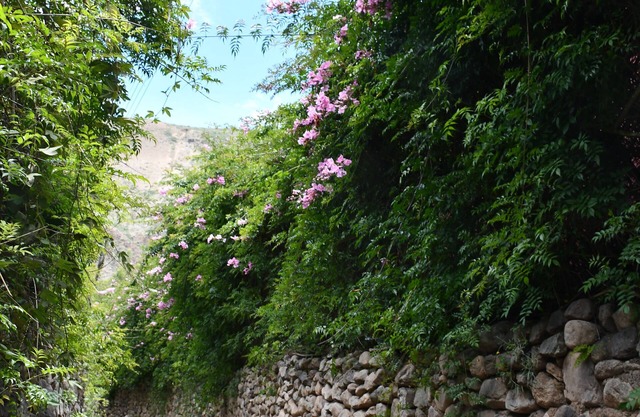 Country House at Sacred Valley Urubamba