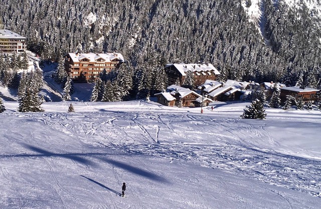 COURCHEVEL 1650 Belvedere 2 rooms 4 p on skis Garage household linen