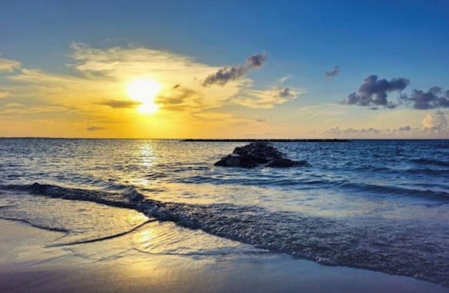 Cozy 1-bedroom guesthouse with private rooftop terrace in superb Providenciales