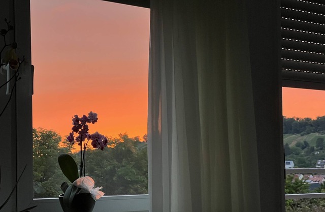Cozy apartment - near Bosch & Porsche