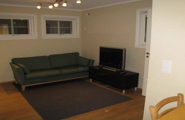 Cozy basement apartment near central Oslo