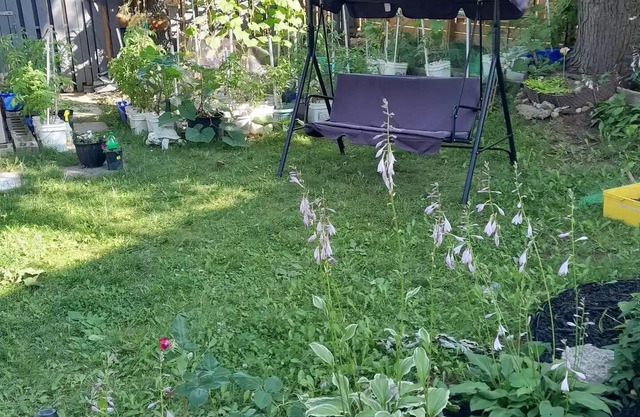 Cozy Basement Suite in Brampton