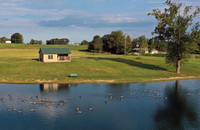 Cozy cabin getaway - Country setting - pond with walking trail
