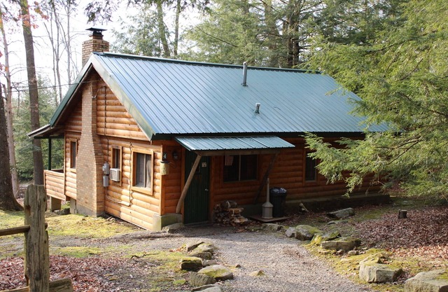 Cozy Cabin with Fireplace, Dog Friendly, 2 Minutes to River