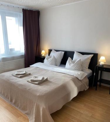 Cozy Center Apartment in Druskininkai