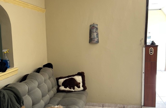 Cozy central house