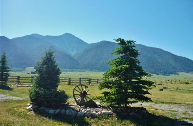 Cozy Immaculate Cabin - Peaceful Retreat!