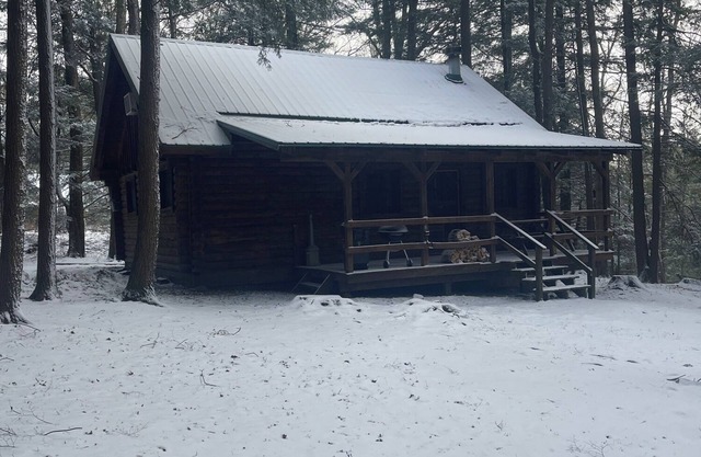 Cozy Log Cabin in Cook Forest