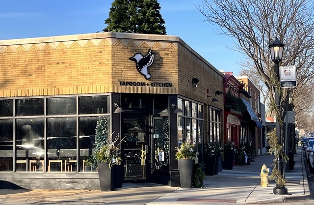 Cozy, modern, & steps to shops! Pet friendly too!