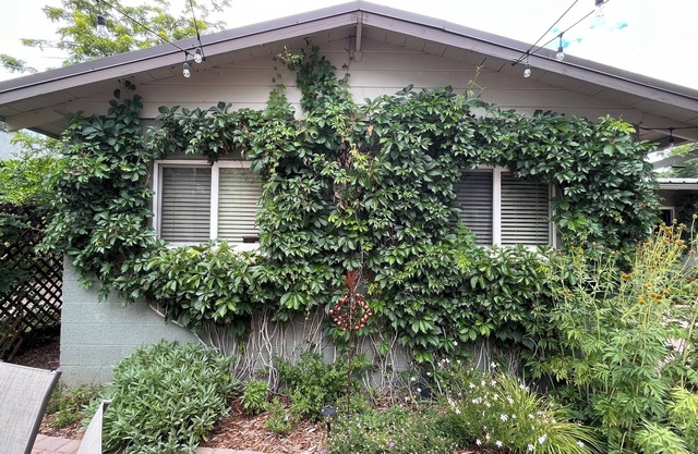 Cozy, Modern Two Bedroom Downtown Flagstaff Cottage for Short or Extended Stays