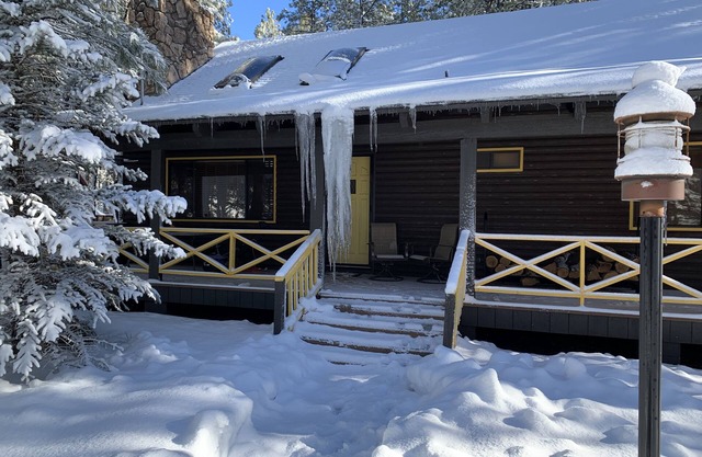 Cozy Mountain Cabin in the Pines!