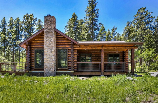 Cozy mountain cabin 1 hour from Denver with direct access to National Forest
