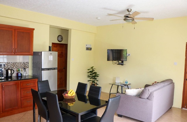 Cozy Single Apartment