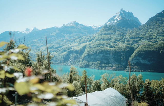 "Cozy Studio in Amden: Your Perfect Getaway in the Swiss Mountains!"