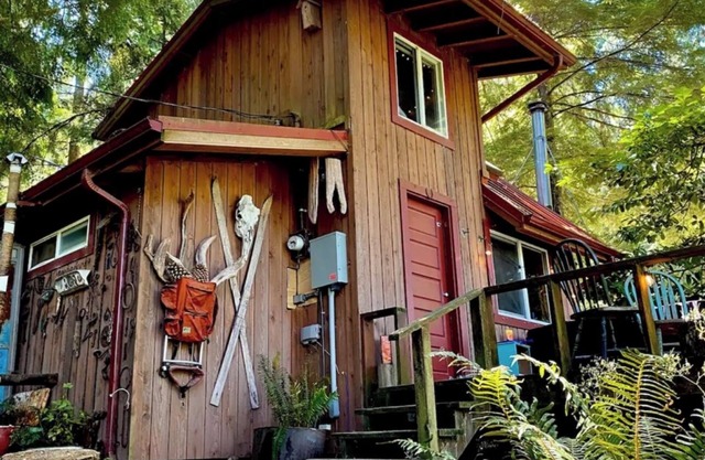 Cozy Tiny Cabin with RIVER VIEWS! nSleeps 3, hot tub, wood stove, fire pit!