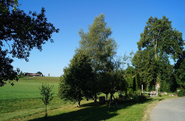 Cozy vacation apartment on the farm - vacation for the whole family