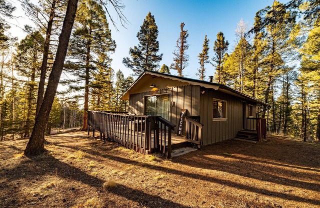 Cozy Winter Cabin! On 1 Acre w Wood Burning Fireplace and Dark Skies!