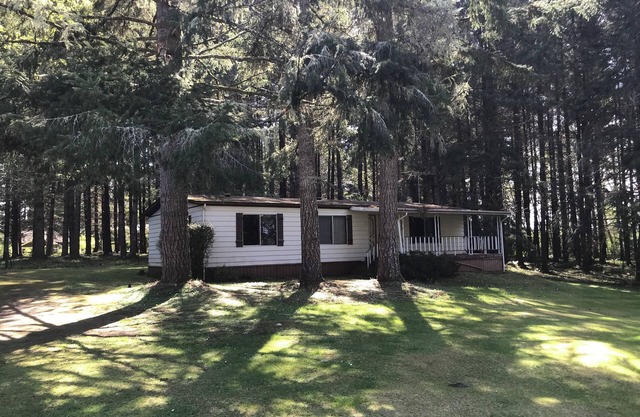 cozy woods cabin with trail to private beach