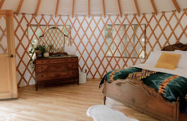 Cozy yurt nestled into bamboo forest