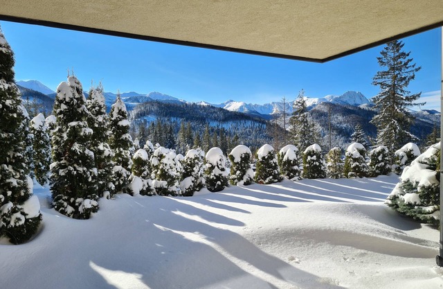 Cozy Zakopane Apartment with Terrace and Stunning Tatras View