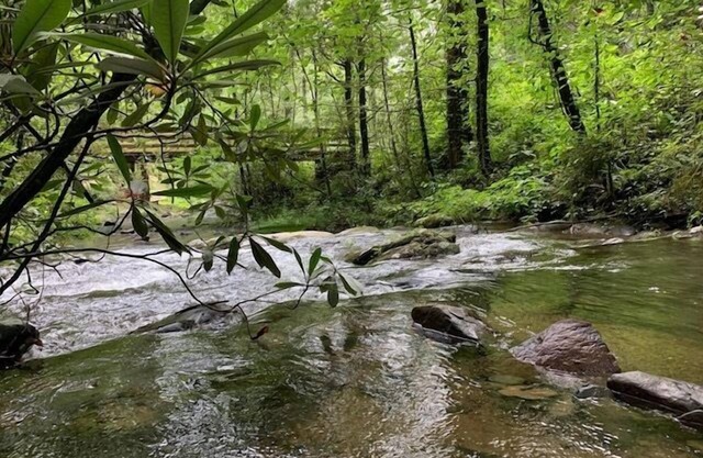 Creekside Storie.Waterfalls Hike Bike Waterfalls!, Creekside Storie. Hot Tub, Cohutta Forest, Hiking.