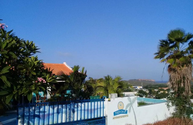 Curacao NEW Dive Resort 2025 (with many Dive and Snorkeling Hotspots)