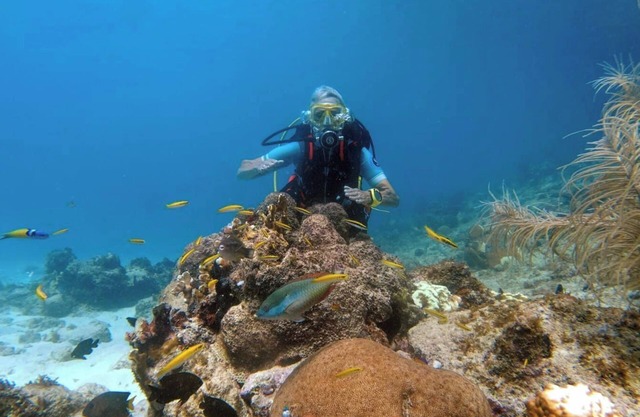 Curacao NEW Dive Resort 2025 (with many Dive and Snorkeling Hotspots)