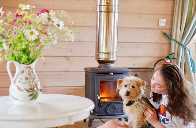 Curlew Lodge - a fabulous and very comfortable beachside log chalet with stunning views and woodbur