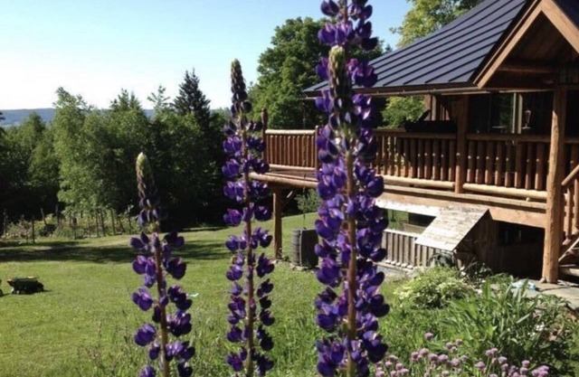 Custom Built Luxury Log Home, Best on property Trout Fishing!