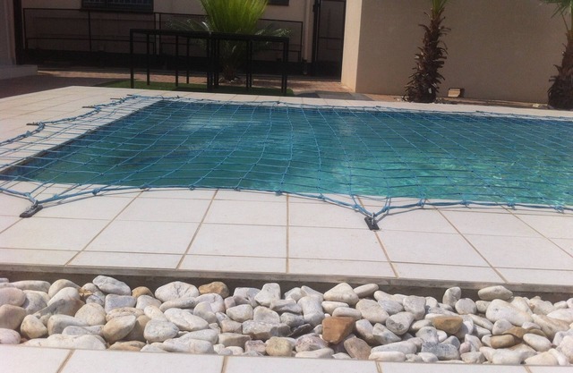 Cycad Palm Guest House