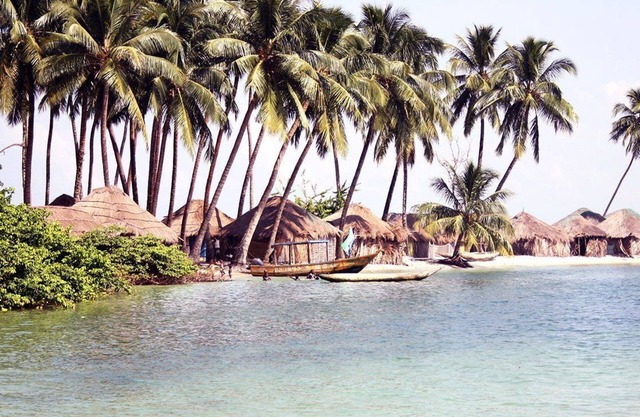 Daltons Banana Guesthouse